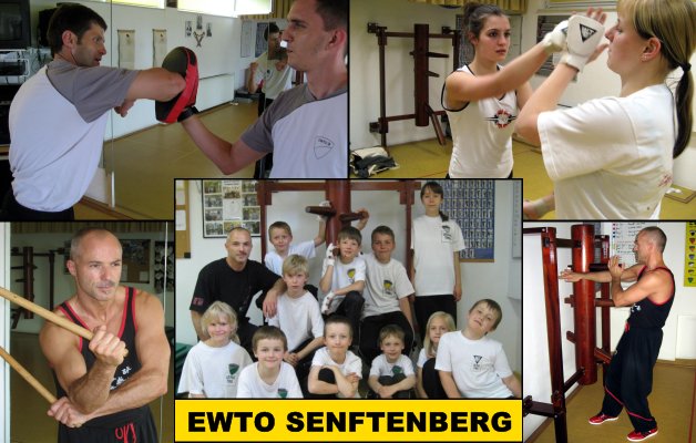 WT Senftenberg